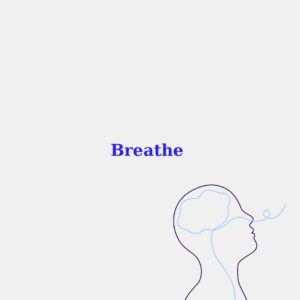 eğitim videosu örnek