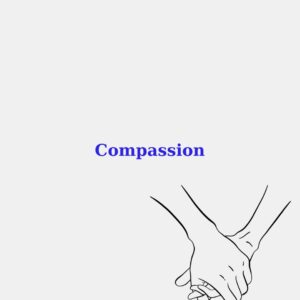 eğitim videosu örnek